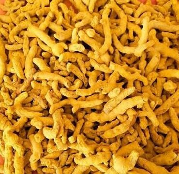 Haldi (Turmeric)