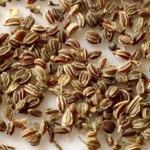 Ajmoda (Celery Seed)